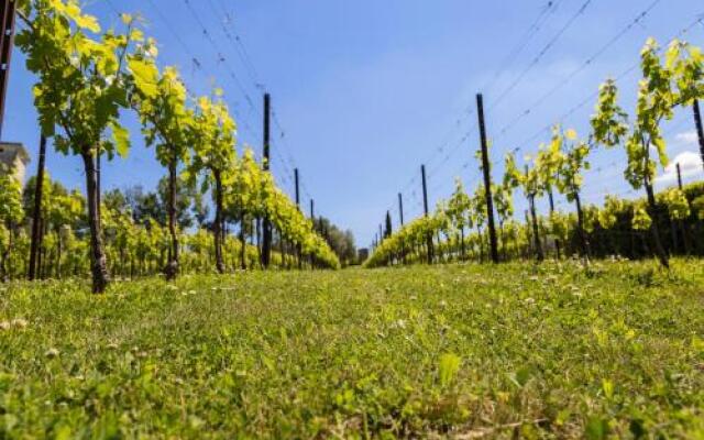 Agriturismo Le Bosche