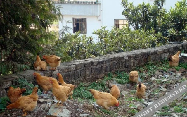 Shendu Canglongwan Hostel