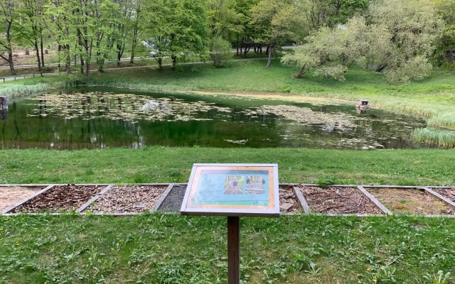 Gemütliche Ferienwohnung Harz Braunlage Hohegeiß
