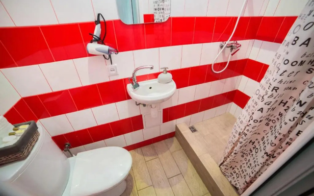 Mini Economy apartments in the central part of Lviv- Krekhivska 7