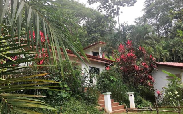 Casa del Toucan