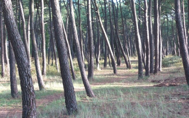 Chambre D'Hotes De La Presqu'ile