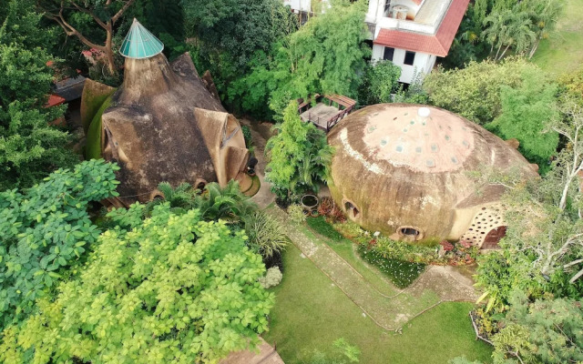 Leafy Greens Clay House