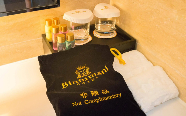 Bintumani Hotel