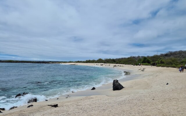 Hotel Indigo Galapagos, an IHG Hotel