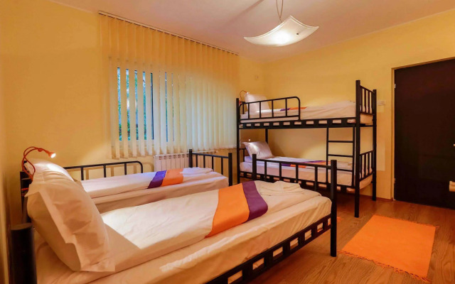 Crazy Duck Hostel
