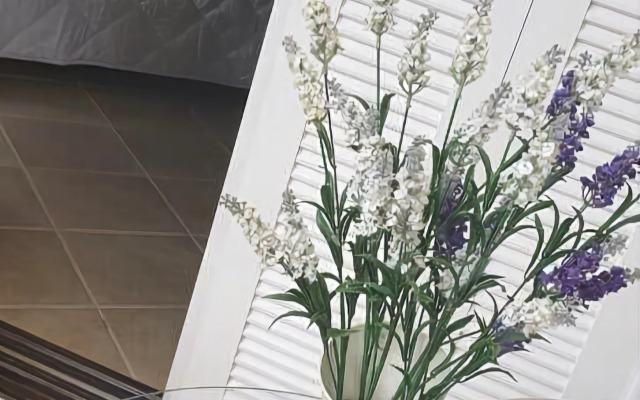 Hotel Pinheiros do Caracol