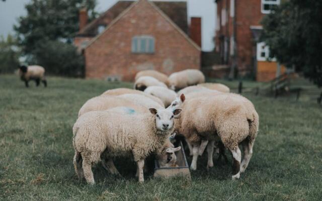 Shepherd’s Hut - The Mule
