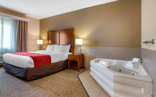 Comfort Inn La Porte