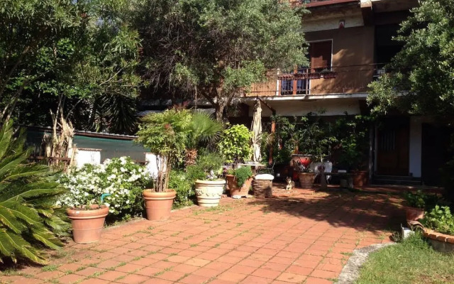 B&B Falcone