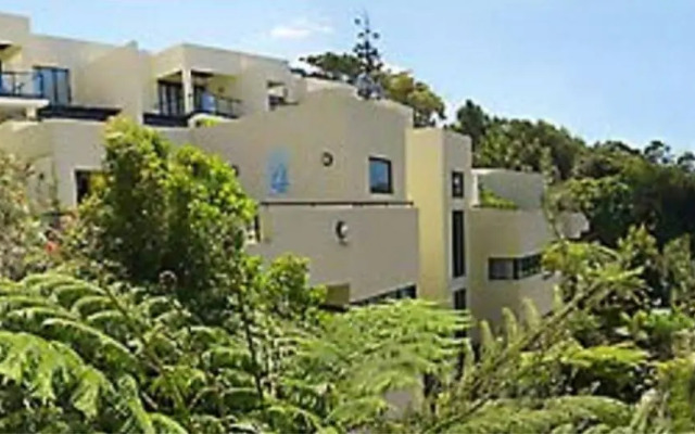 Papillon Coolum