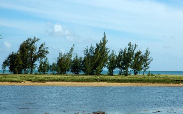 Reve des Iles