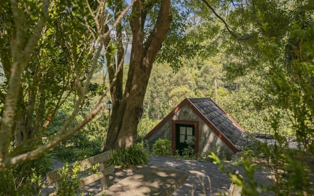 In Laurissilva Forest, Casa do Lanço -carvalho