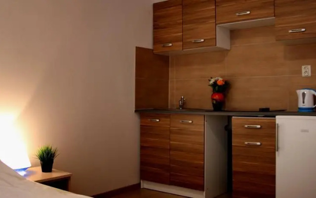Studio Dolina Krakow Rental