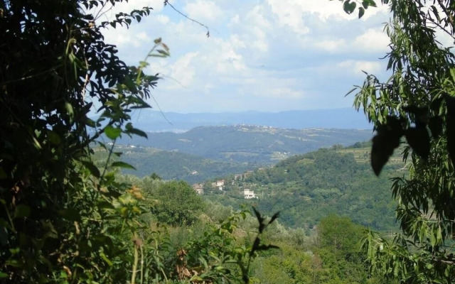 Stjepan - Panoramic View - SA1