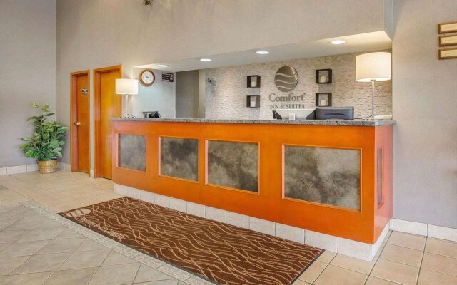 Comfort Inn And Suites South