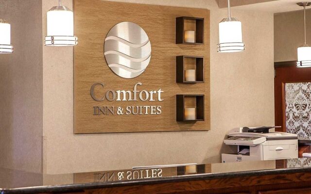 Comfort Inn & Suites Davenport - Quad Cities