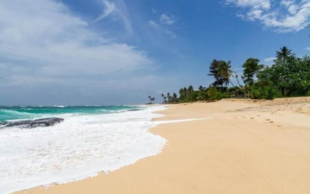 Surf Sea Breeze