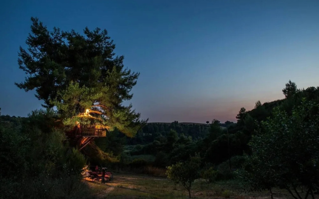 Stunning Treehouse 10 Mins From Sandy Beaches