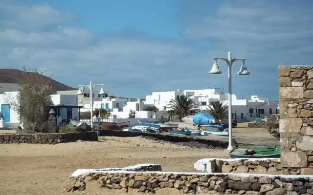 Isatis