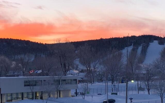 Gestion clin d’œil - 501