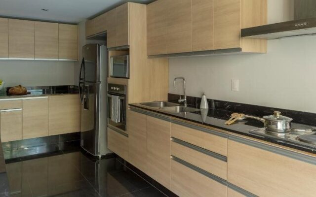 Polanco T40