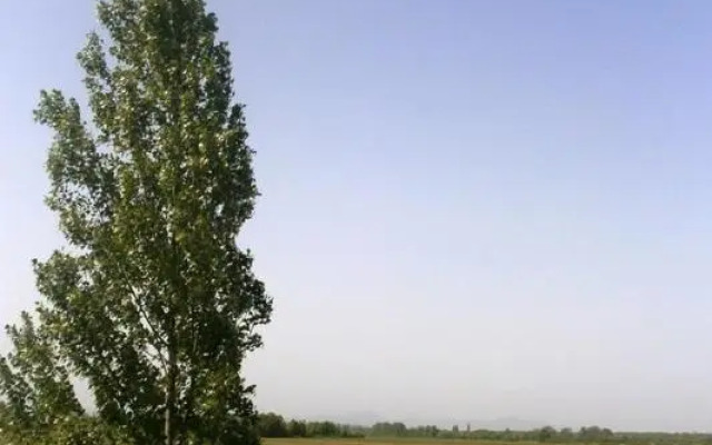 Kuc kuc apartmani