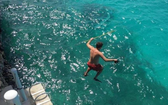 Palm Bluff by Eleuthera Vacation Rentals