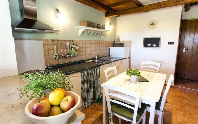 House Villa Ana, Bale and Rovinj