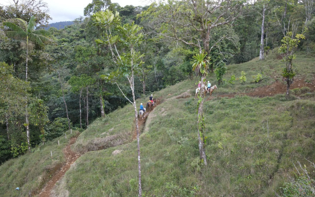 Rio Celeste Nature View