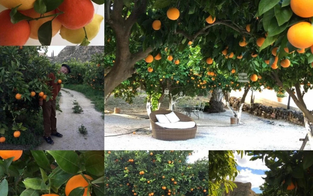 La Joya Del Valle De Ricote