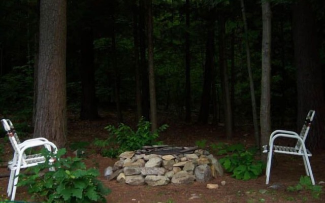 Tall Pines Motel