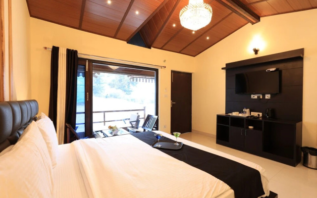 Bimbos Club Blusalz Collection Bhowali