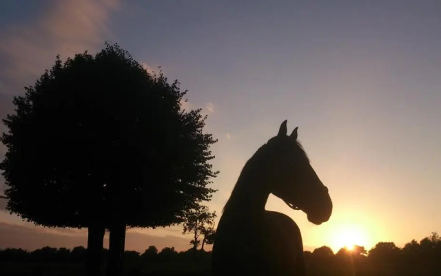 Bed & Breakfast Glimmen