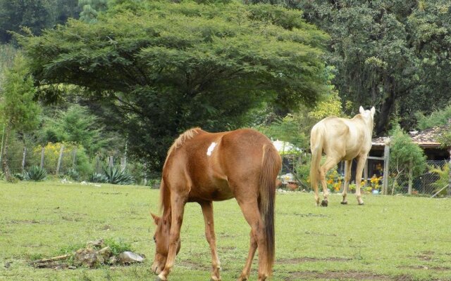 Rancho Hostal La Escondida Eco Park