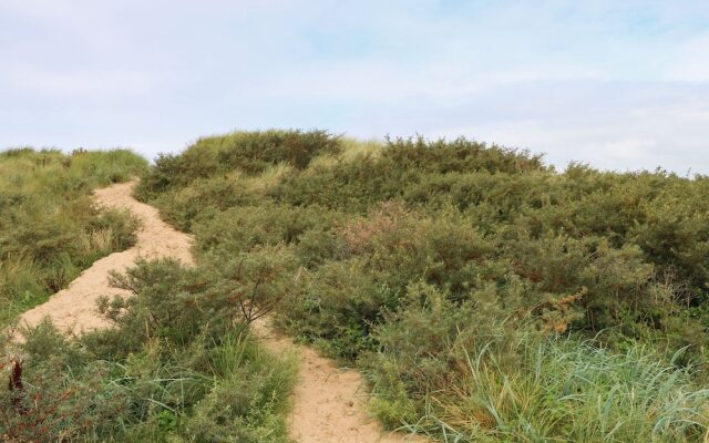 Brandons, Southport
