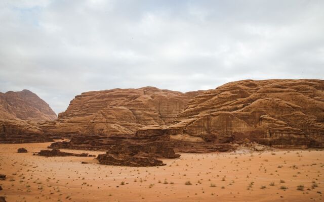 Palmera Camp Wadi Rum