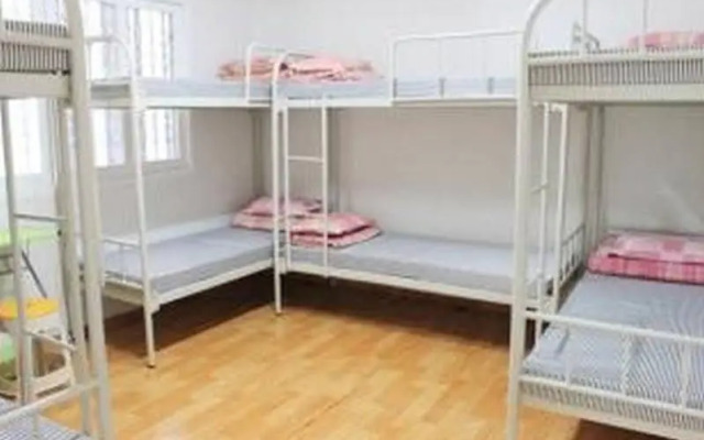 Hostel Alpha
