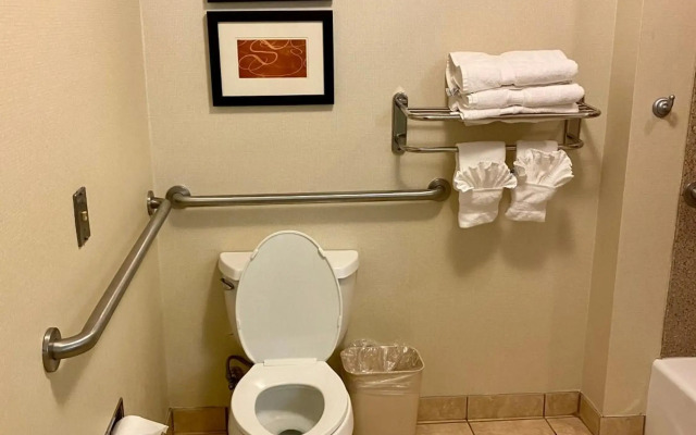 Comfort Suites Rock Hill Manchester Meadows Area