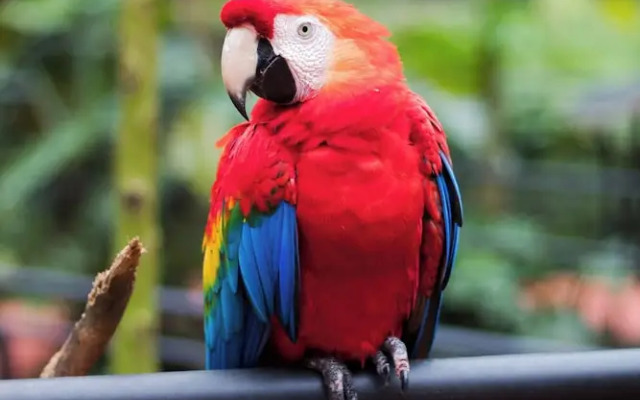 Maper Mardan - Beira Rio