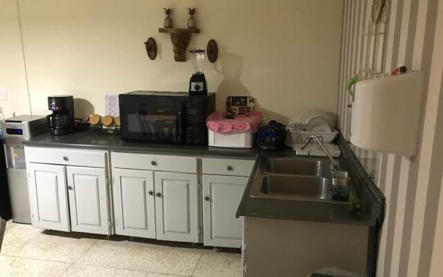 Botanic Garden Hostal
