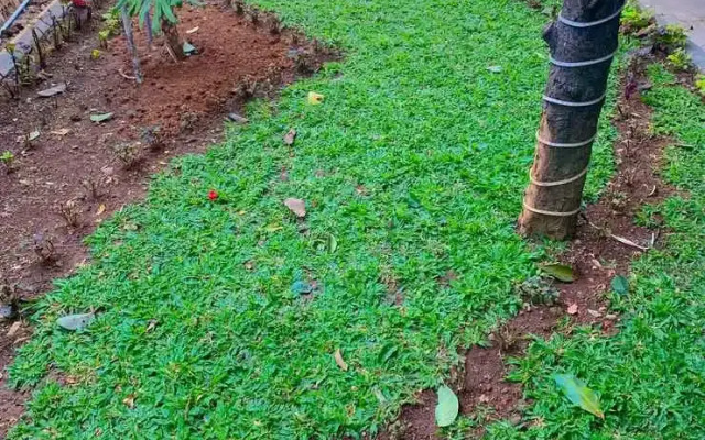 Residence Tanjung Pakuan