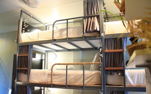 My Samui Hostel