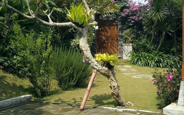 Villa Mulyono