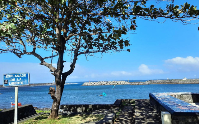 Le Voyageur à Terre-Sainte, Saint-Pierre