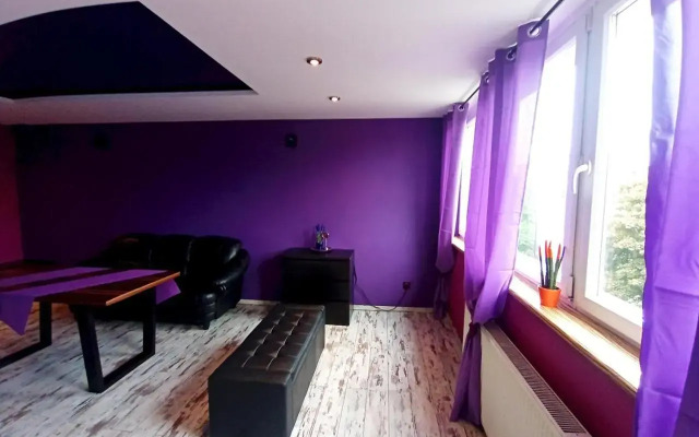 Nastrojowe Mieszkanie Plac Krakowski Gliwice 60m2