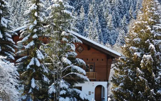 Hotel zur Oberen Mühle
