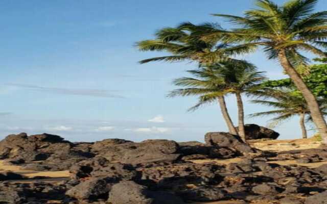Pousada Flor do Caribe