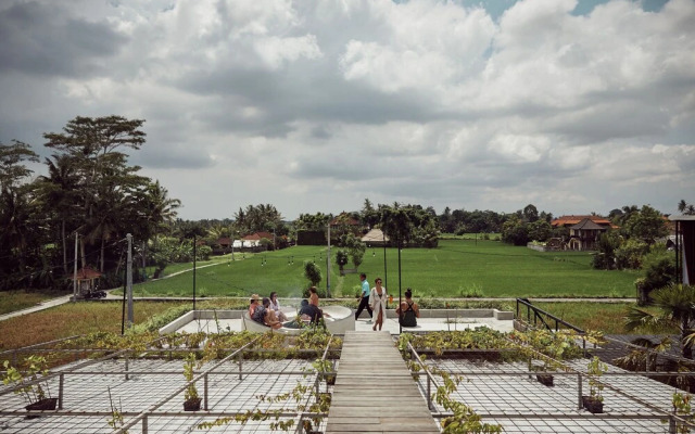 Podpadi Design Spaces