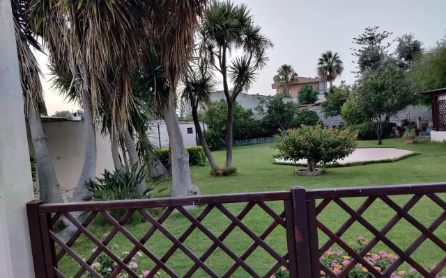 B&B "Sa Ferula"